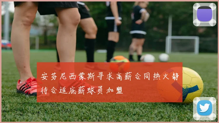 安芬尼西蒙斯寻求高薪合同热火静待合适底薪球员加盟