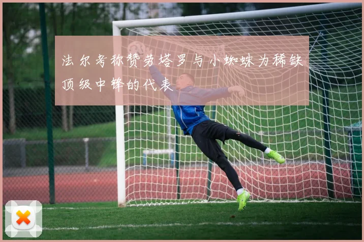 法尔考称赞劳塔罗与小蜘蛛为稀缺顶级中锋的代表